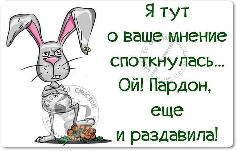 Никогда не волновало. Мне на ваше мнение. Ваше мнение меня не интересует. Мне не интересно ваше мнение. Ваше мнение это ваше.