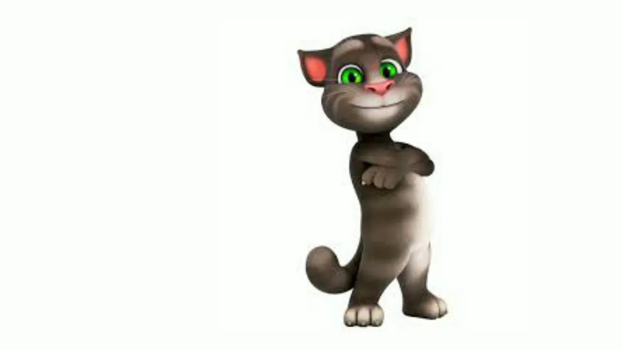 Talking Tom. Talking Tom Cat 2016. Говорящий отм. Мой том на прозрачном фоне. Группа говорящего тома