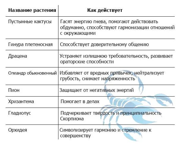 Цветок скорпиона по гороскопу. Цветы для скорпиона женщины. цветы по гороскопу скорпион. комнатные цветы для скорпиона женщины по гороскопу. комнатный цветок для скорпиона женщины.