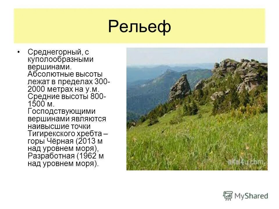 Высотой от 0 7 до. Заповедники Алтайского края Тигирекский заповедник. Тигирекский заповедник Алтайского края презентация. Формы рельефа Алтайского края. Тигирекский заповедник Алтайского края сообщение.