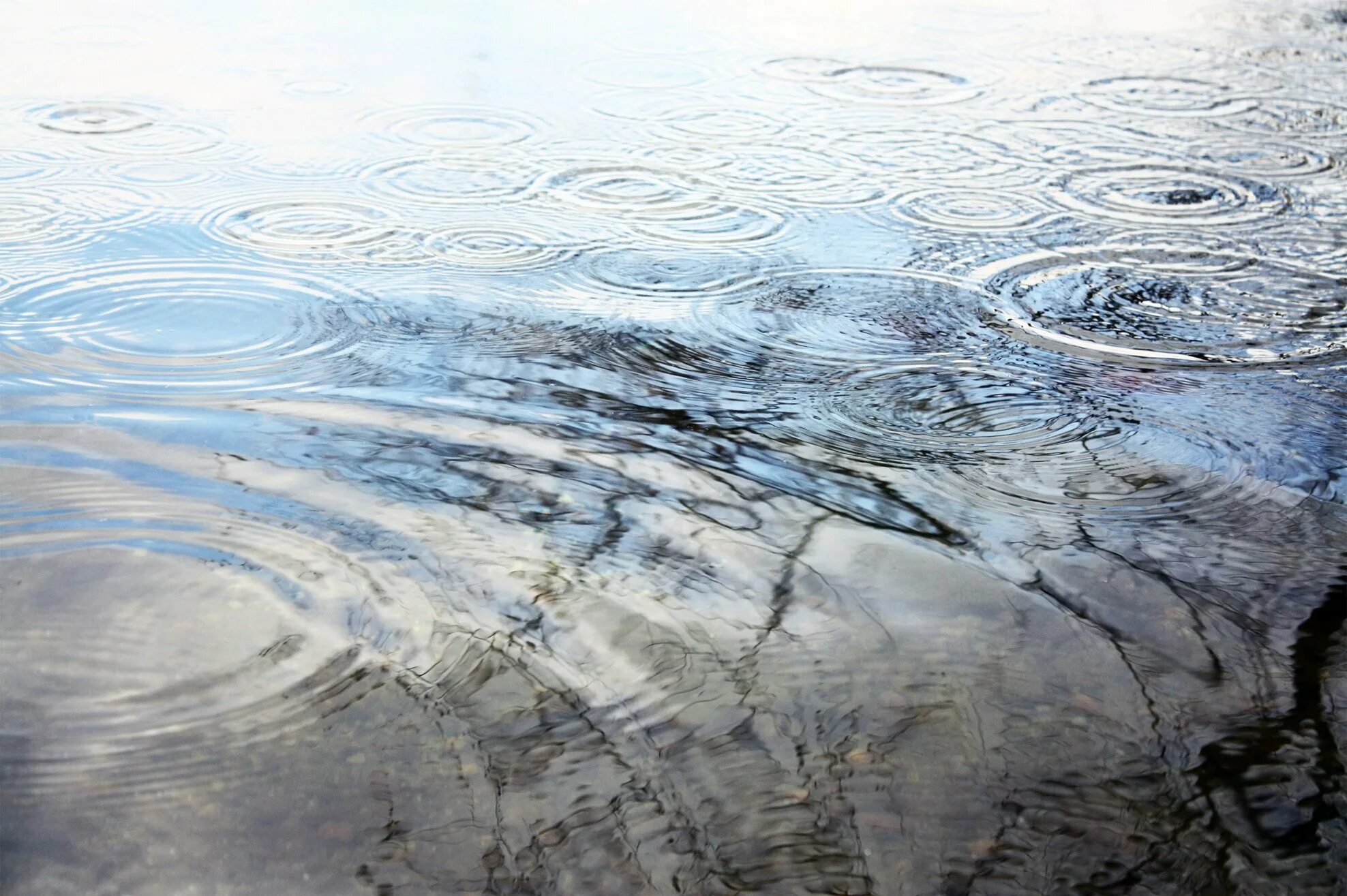 Круги на воде чья. Круги на воде. Разводы на воде. Вода круги на воде. Круги на воде от камня.