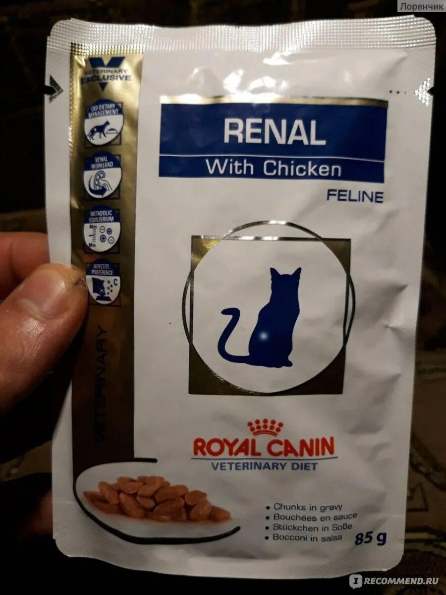 Ренал роял для кошек влажный. Royal Canin renal with Chicken для кошек. Royal Canin renal Feline Chicken. Роял Канин пауч Ренал для кошек. Роял Канин Уринари антистресс для кошек.