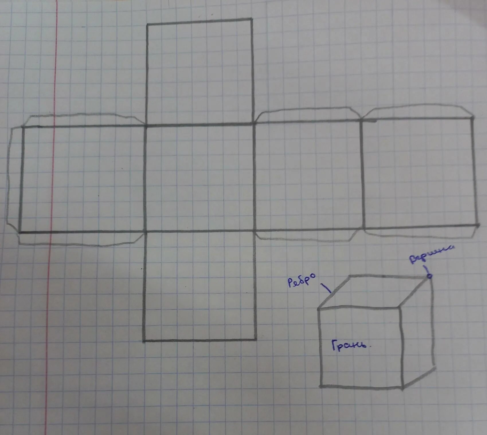 Как сделать 4 на 3. Развертка Куба 5см на 5см. Куб развертка. Модель Куба развертка. Развернутый куб.