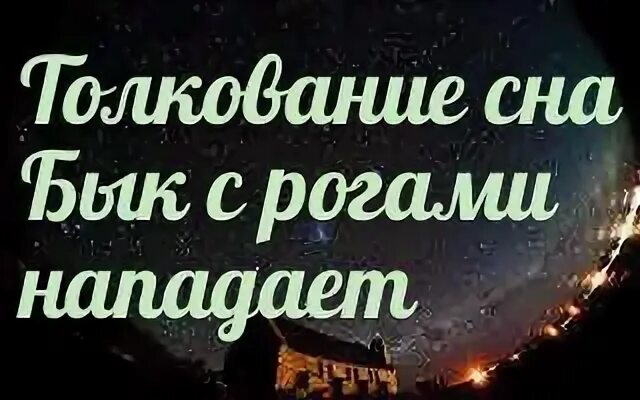 К чему снятся быки мужчине. К чему снится бык женщине. Бык во сне к чему снится женщине. Видеть во сне быка к чему для женщины.