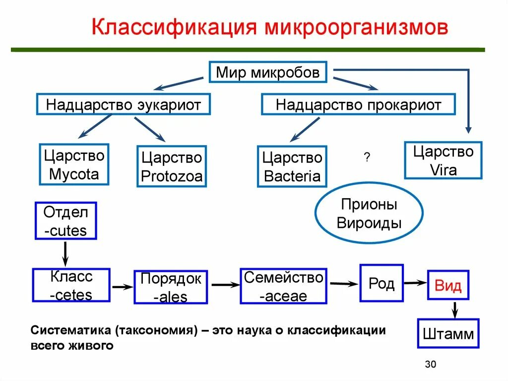 Надцарство прокариоты. Основные группы патогенных микроорганизмов схема. Классификация и таксономия микроорганизмов. Виды микроорганизмов микробиология схема. Классификация и номенклатура бактерий.