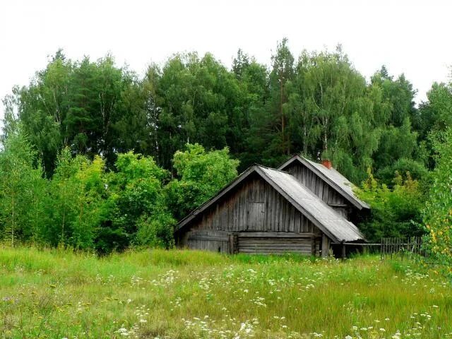 Село красные горки нижегородская область. Деревня Ермолино Шарангского района. Красная горка Нижегородская область Шарангский район. Деревня Шаранга Нижегородской области. Красная горка Шарангского района пруд.