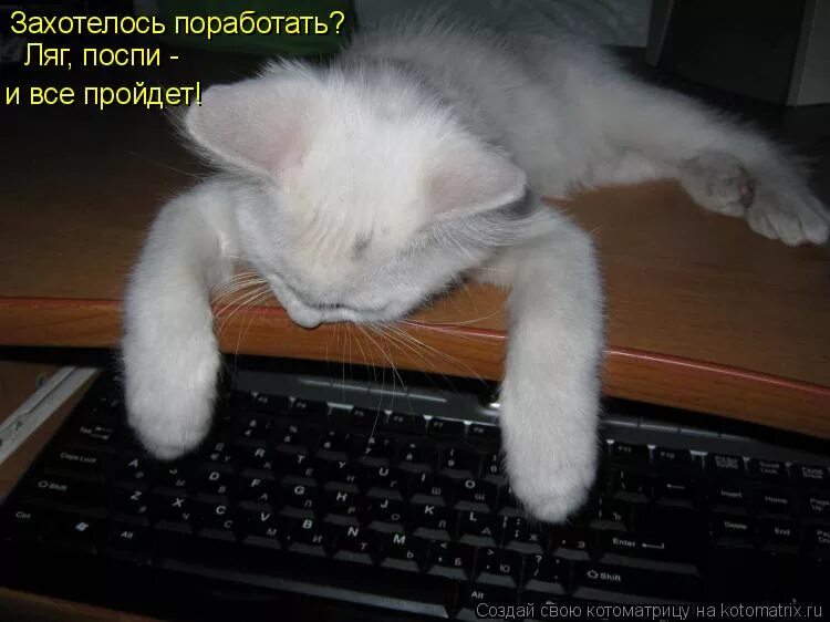 если хочешь поработать ляг поспи и все пройдет картинки. если хочешьпоработать, лаг поспи и все пройдет. ляг поспи. если хочешь поработать , лягь. если хочешь поработать ляг поспи.