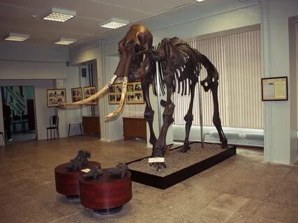 Краеведческий музей человека