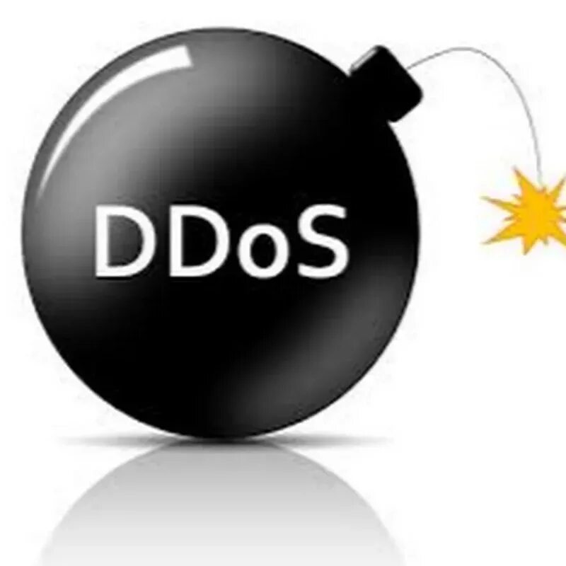D bos