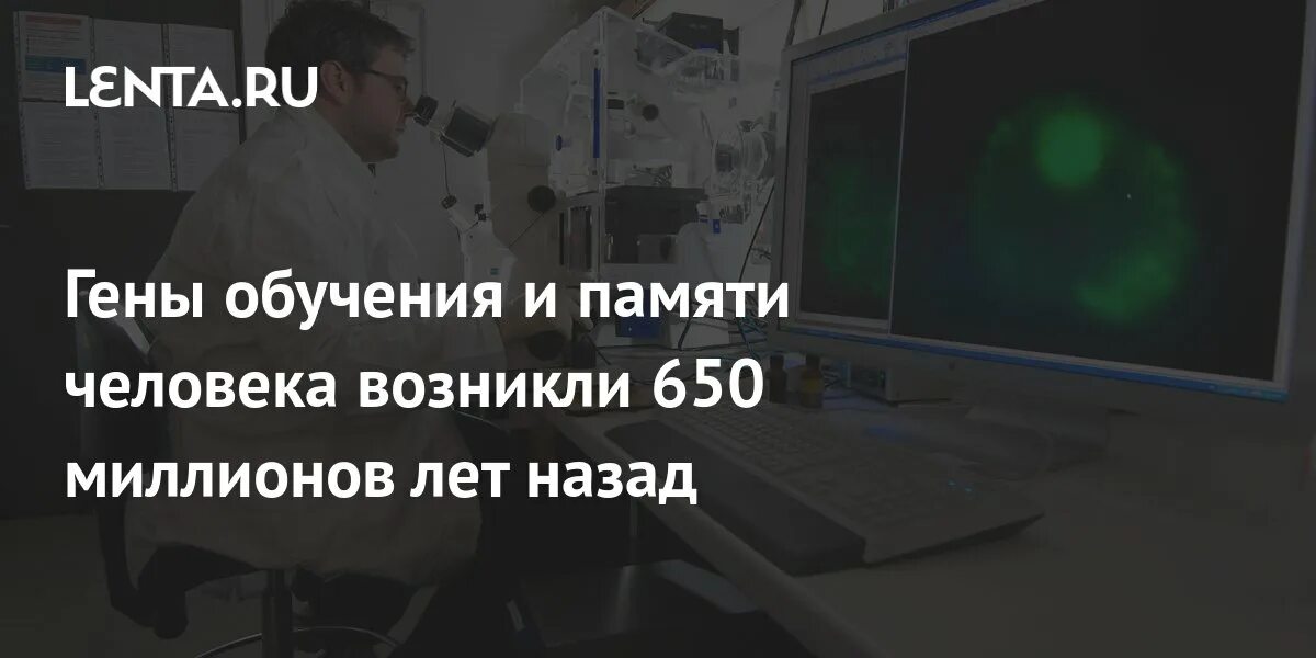 650 миллионов