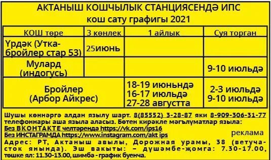 Актаныше челны расписание автобусов. Автовокзал актаныш. автостанция актаныш расписание автобусов. расписание автобусов набережные челны актаныш. автобус актаныш альметьевск расписание.