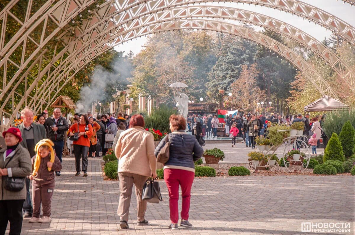 Погода в слободзее. Аркадный комплекс Слободзея. Аркадный комплекс в парках. Винный фестиваль в Калуге. Винный фестиваль Псков.