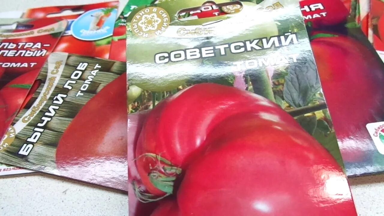Какой сорт помидор выбрать. Сотр помидор советское. томат сибирская тройка.