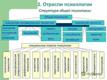 Общие отрасли психологии это