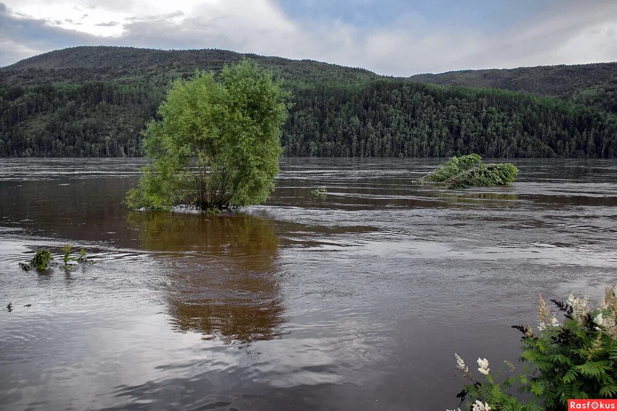 Река умальта хабаровский край