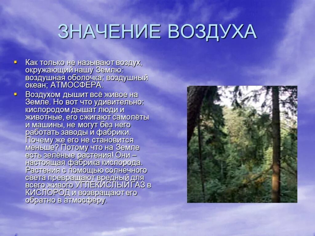 Значение воздуха в природе и жизни человека. Презентация на тему воздух. Воздух для презентации. Сообщение о воздухе. Значение воздуха.