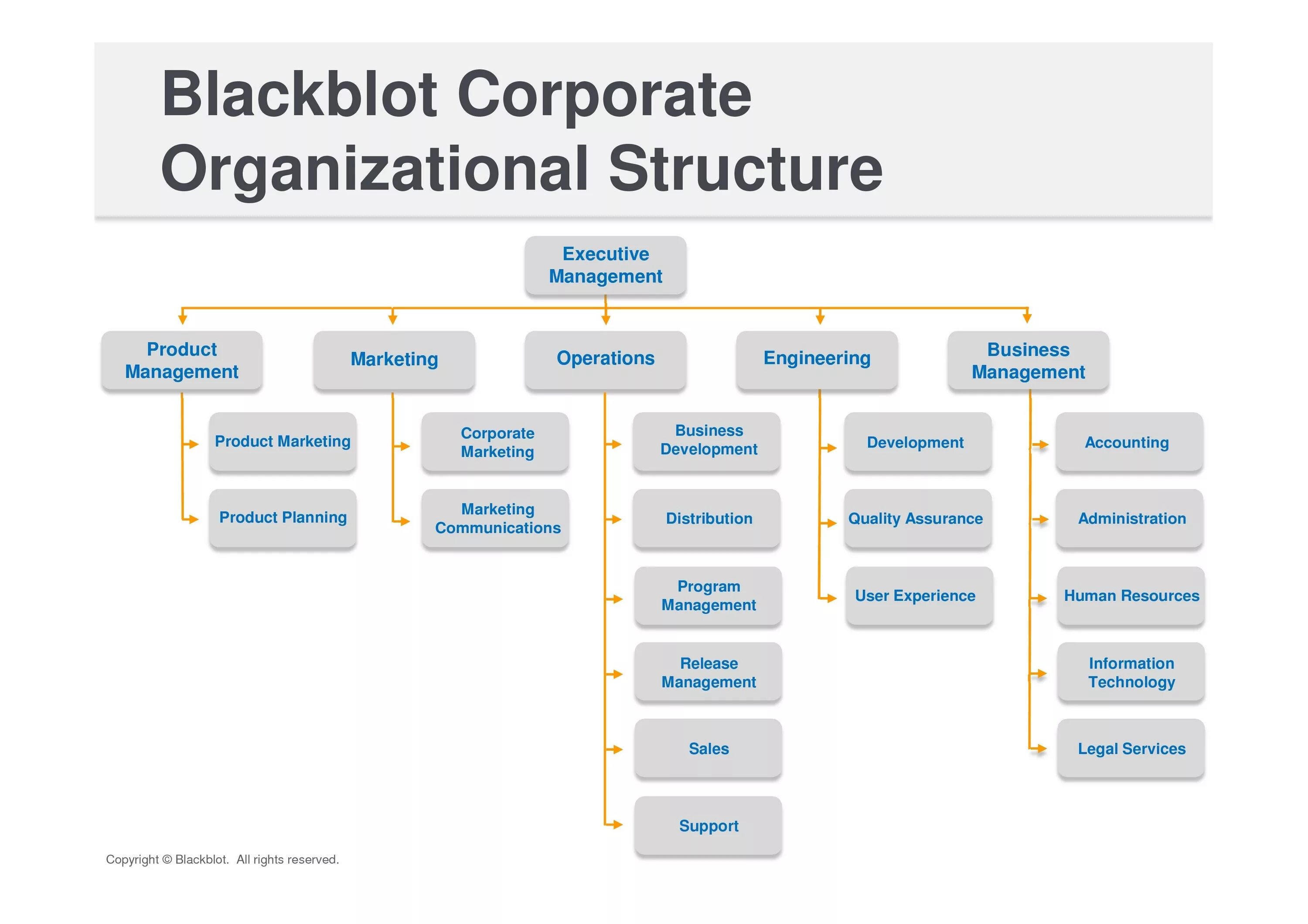 Organizational structure of the Company. Организационная структура предприятия на англ. Организационная структура компании Netflix. Иерархия компании на английском. Marketing organization