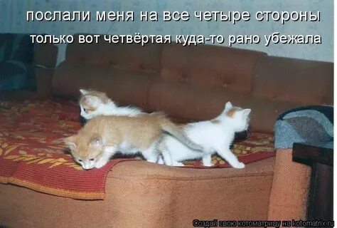 4 стороны сообщения