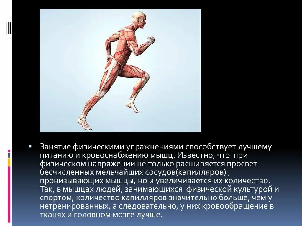 Работа двигательного аппарата