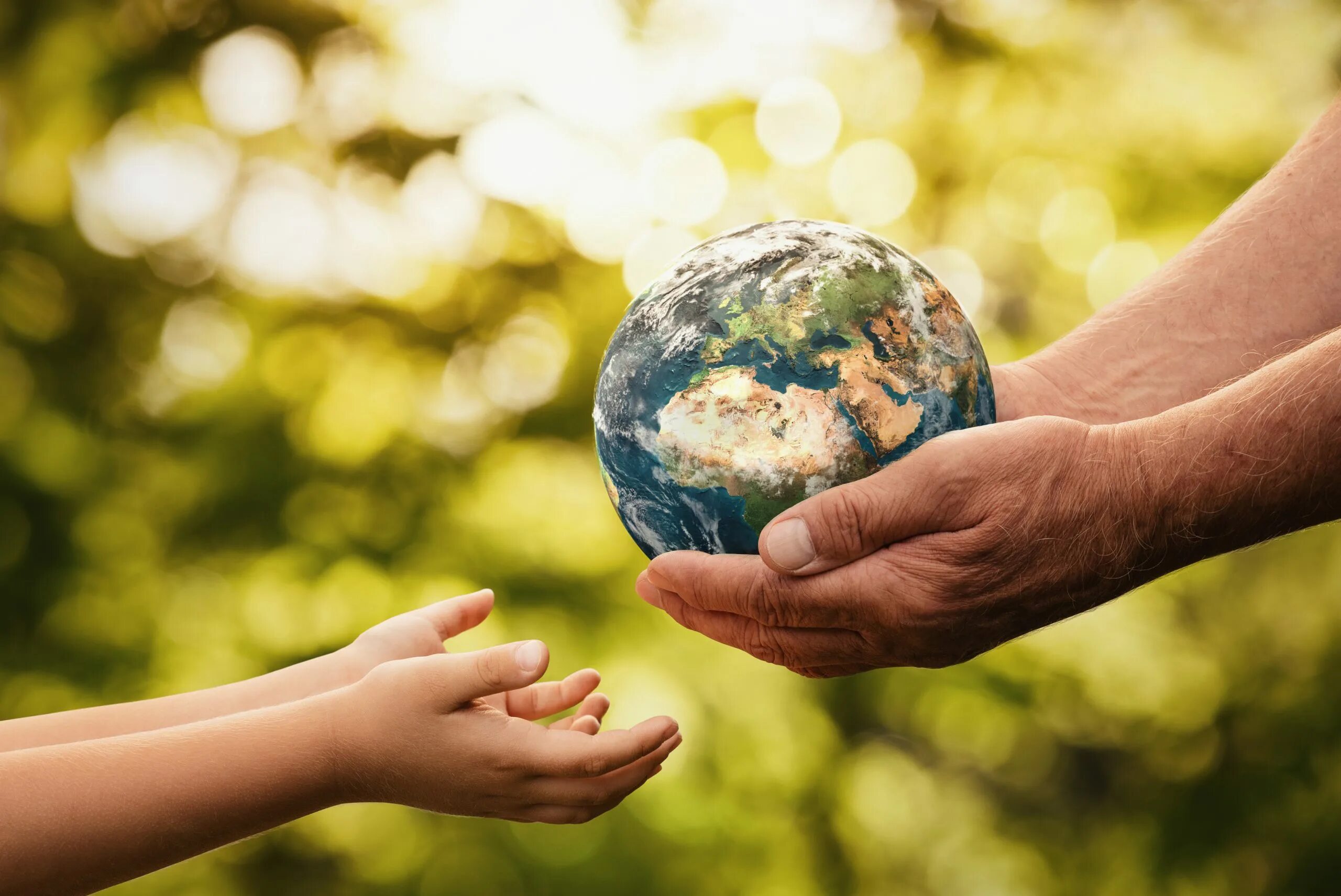Sharing the environment