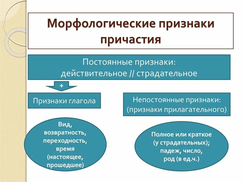 Морфологический образец причастий. Постоянные морфологические признаки причастия. Постоянный морфологические признаки причастия. Морфологические признаки глагола у причастия. Глагольные морфологические признаки причастия это.