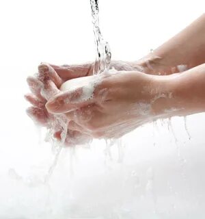 Did you wash your hands