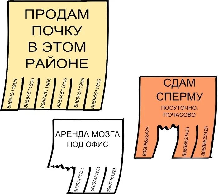 Продажа на органы шутка. Продать почку. Реклама продажи почек. Как продать почку.