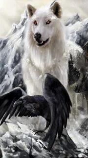 White wolf отзывы