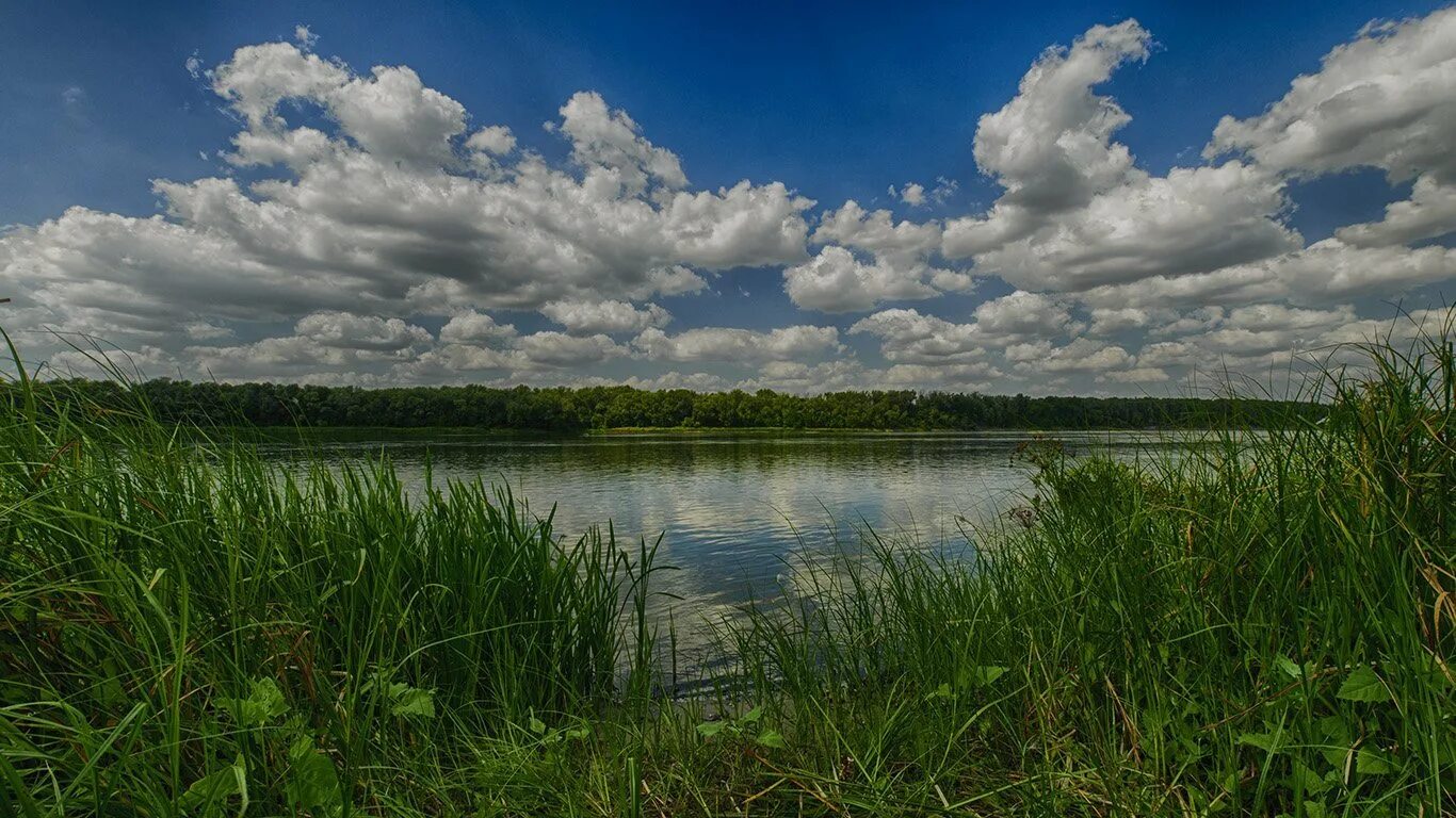 На берегу реки дон. Пейзаж реки дон ростов. Река дон станица казанская. Река дон вертячий. Пляж реки дон придонской.