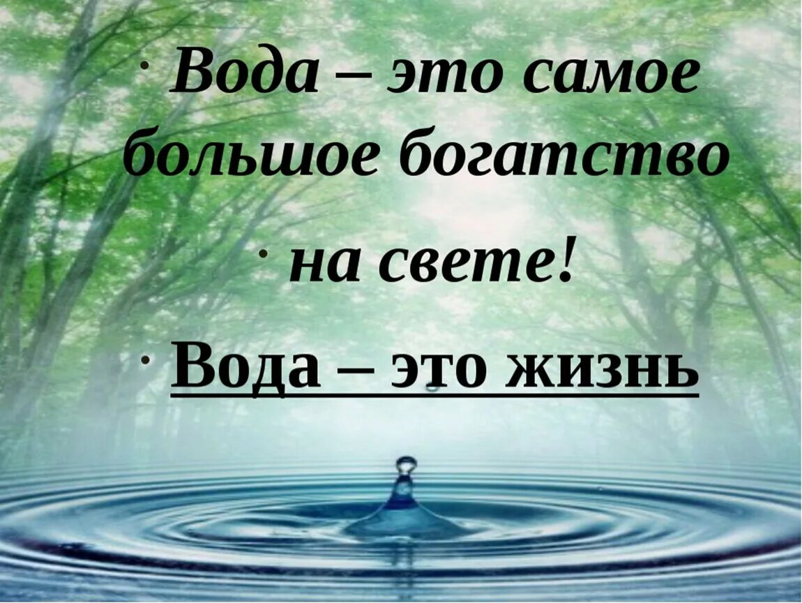 Цитаты про воду. Красивые цитаты про воду. Афоризмы про воду. Вода это жизнь.