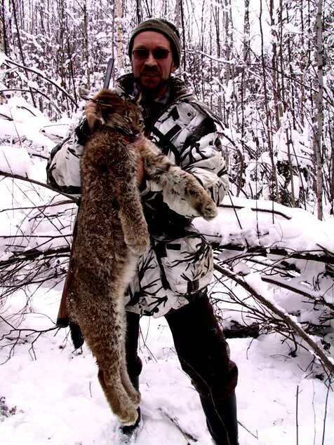 Нападение рыси на человека. Человеко Рысь. Рысь и человек. Рясь рядом с человеком.