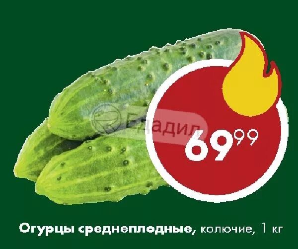 Свежие огурцы в пятерочке. Свежие огурцы в пятерочке. Огурцы в упаковке. Огурцы на пятерку. Огурец кафкас f1.