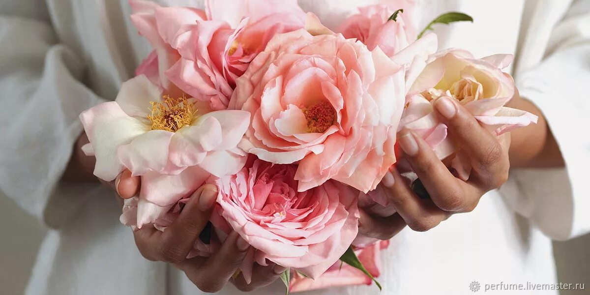 Rose from up. Come up roses. Come up roses. Black everything is coming up roses. Black everything is coming up roses.