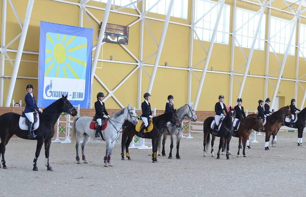 Интернет кск. Конюшня конюшня в санкт-петербурге. Хреновской конный завод. Сооружения для конного спорта. И каштанова.