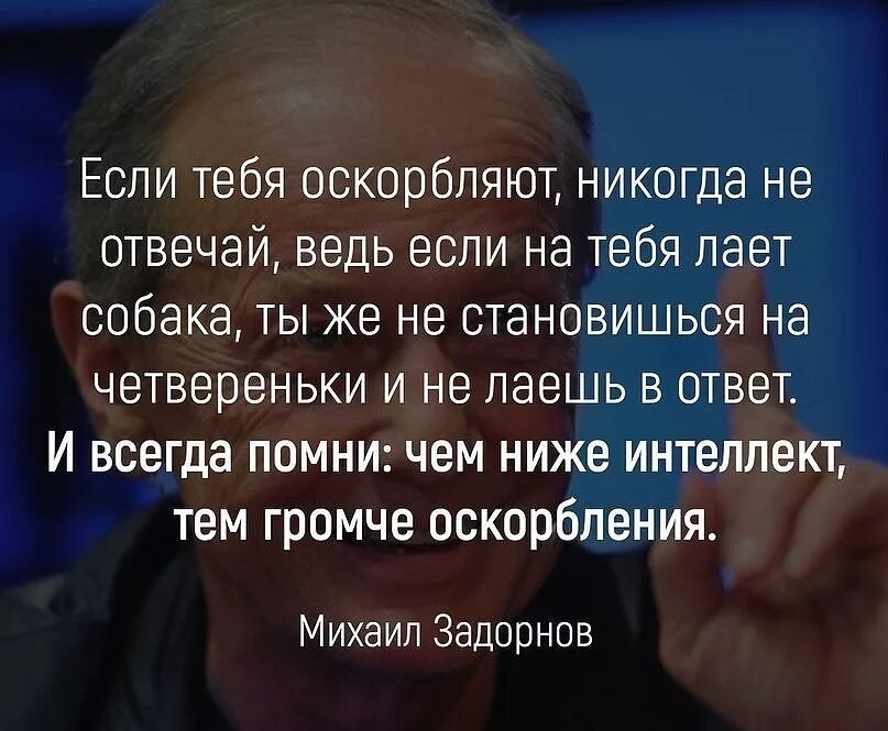 Как унизить человека умными словами. Цитаты если тебя оскорбляют. цитаты про оскорбления. оскорбление человека. цитаты про оскорбления и унижения.