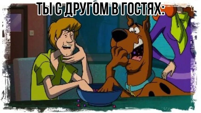 Скуби Ду. Шегги Скуби Ду. Watch scooby doo