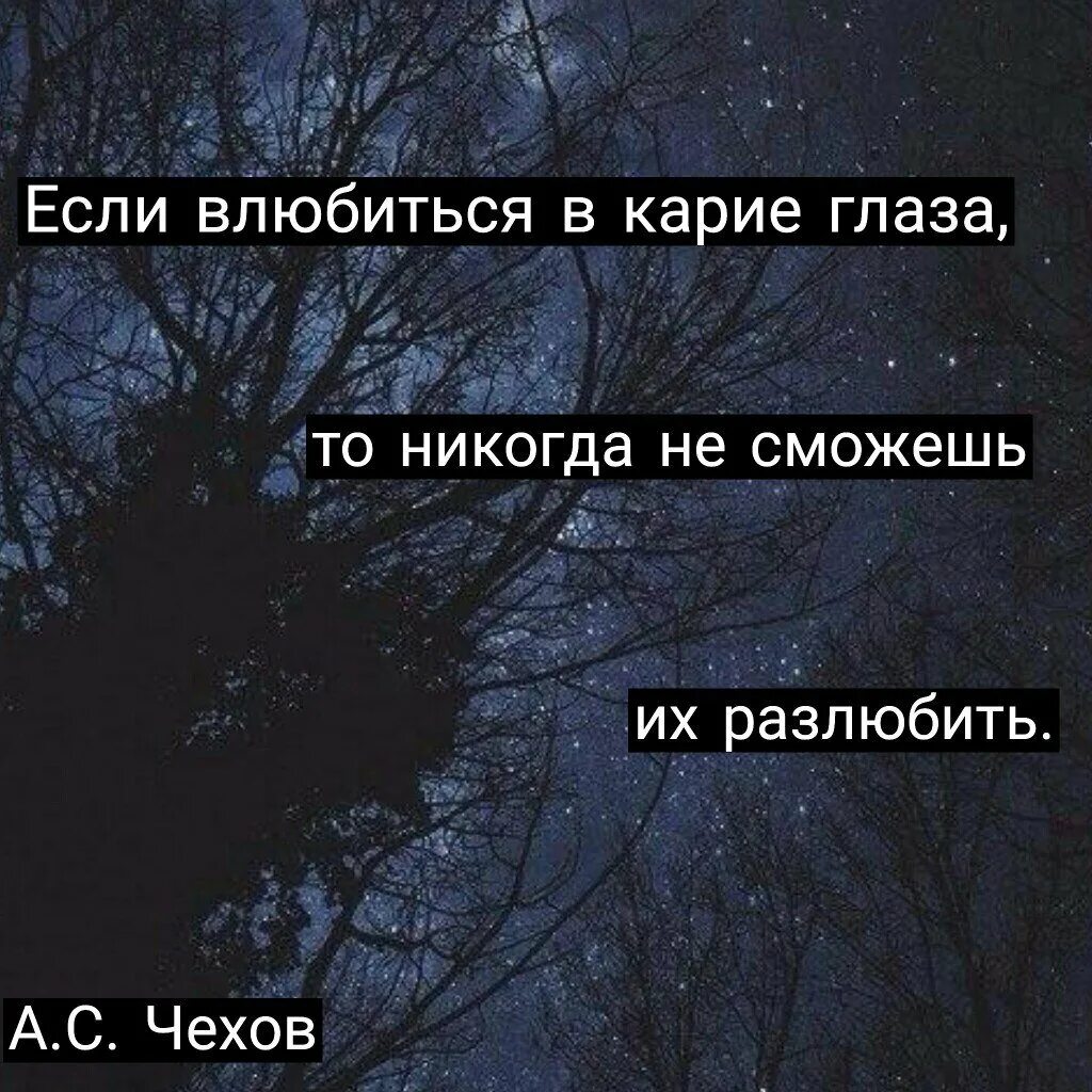 Голубые глаза чехов. В карие глаза влюбляются. Цитаты про карие глаза. Фразы про карие глаза. Статусы про карие глаза.