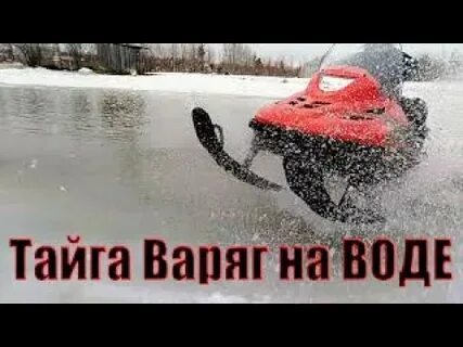 Видео тайги варяг