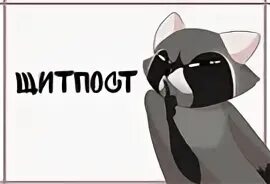 Что такое щитпост. Щитпосты. щитпост статус. щит пост. щитпост мем.