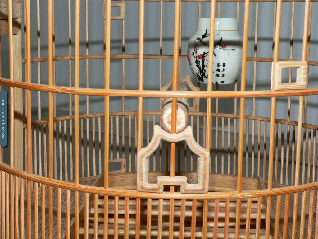 Содержание певчих