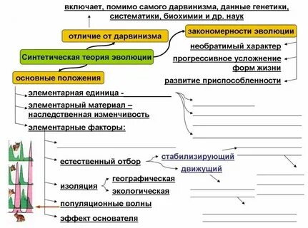 Единица эволюции по ламарку