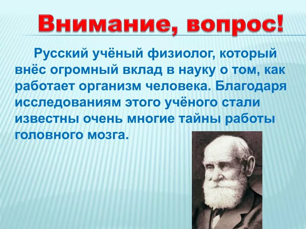 Известный ученый физиолог. Вклад ученых в науку. Люди которые внесли вклад. Вклад российских ученых в науку. Ученые которые внесли вклад в науку.