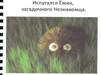 Напугал ежа