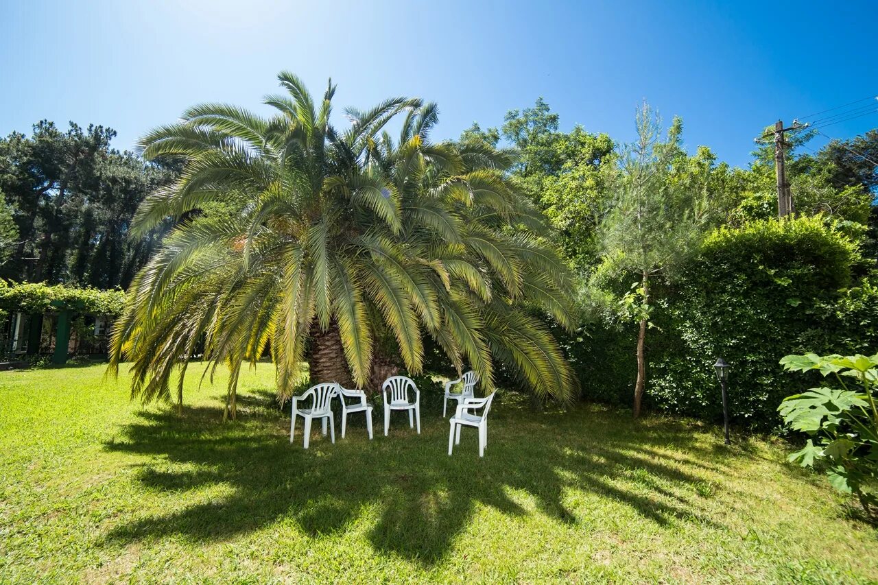 Отель апсара в пицунде. Апсара абхазия. апсара лдзаа. апсара пицунда. гостиница апсара пицунда.