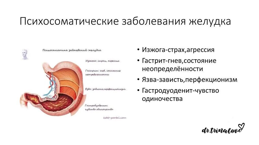 Психосоматика болезней у женщин кишечник и желудок. Гастродуоденит психосоматика заболевания. Кишечник психосоматика причины заболеваний. Язвенная болезнь желудка психосоматика. Что делать если остановился желудок