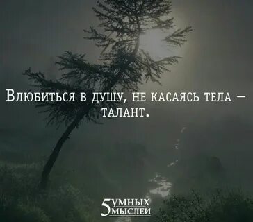 Душа таланта