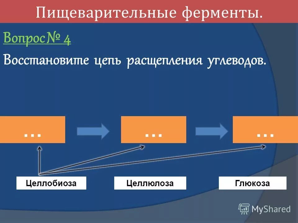 2 ферменты расщепляющие углеводы. Вопросы по ферментам. Восстановите цепочку образования ветра: ________ ð _________ ð ___________.