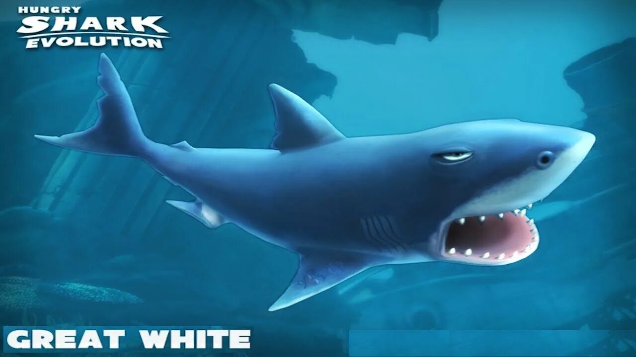 Какая акула в игре. Шарк Эволюшн акулы. Хангри Шарк акулы. Хангри Шарк белая акула. Акулы из hungry Shark Evolution.