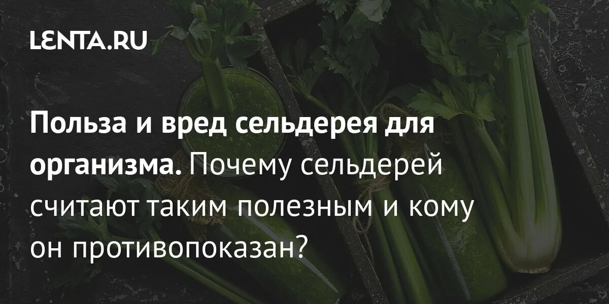 Сельдерей отзывы вред. Что полезного в сельдерее. Сельдерей. Сельдерей черешковый стебель калорийность. Сельдерей отзывы вред.