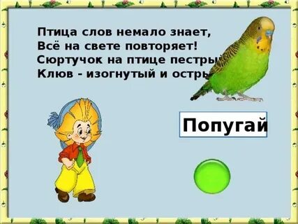 Песни светы птица
